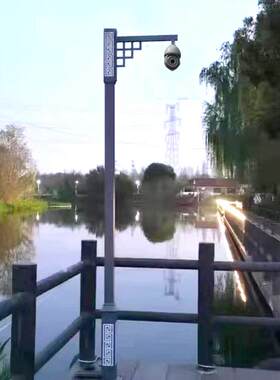 造型景监控立杆2456米小区仿古区公3立园冠亿家盈道路不锈钢监控
