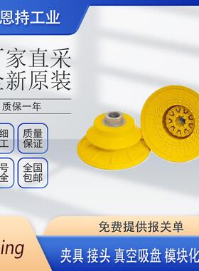 德国Bilsing 真空吸盘 100BT-B-55 全新原装 厂家直采