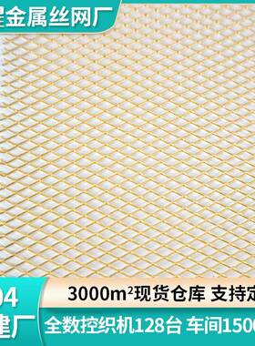 黄OUD网拉伸铜网电磁静信号屏蔽防电接地金属网网过铜滤网编织铜