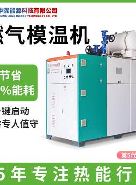高效节能环保燃气模温机厂家 用电省30-50%燃气导热油炉 大锅炉