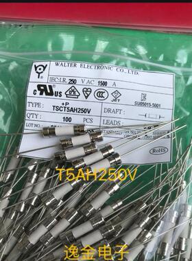 T5A250V T5AH250V 5*20陶瓷保险丝管 液晶电视电源板保险丝 10个
