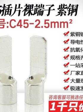 空开插片C45-2.5平方DZ47插针冷压端子 片形铜接线鼻紫铜焊口线耳