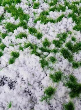 仿真苔藓草坪撅类绿植仿真仿真青苔草坪植物苔藓绿植仿真厥类