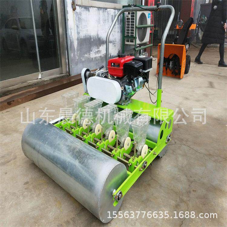 韩式蔬菜播种机电动自走式种植双排15行桔梗白菜精播机