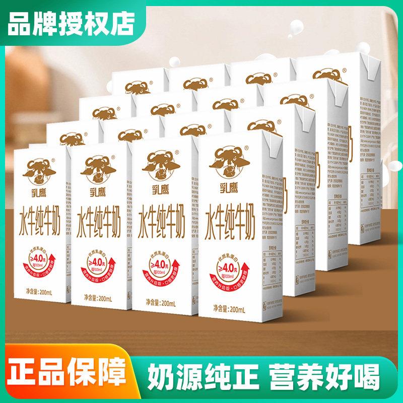 乳鹰水牛纯牛奶200ml*16盒促销装吃甘蔗的水牛奶南国乳业官方正品