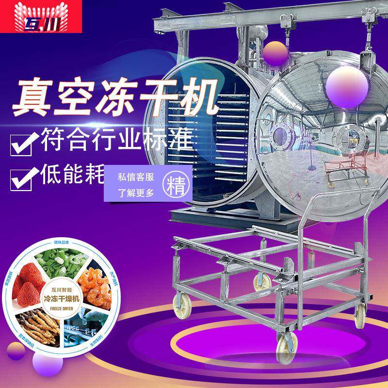 中小型100平真空冷冻干燥机驼奶奶粉脱水冻干机草莓梨片冻干设备