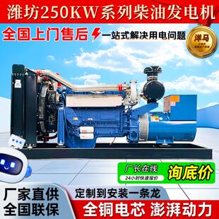 户外工地备用发电设备潍坊系列250kw柴油发电机组演唱会发电设备