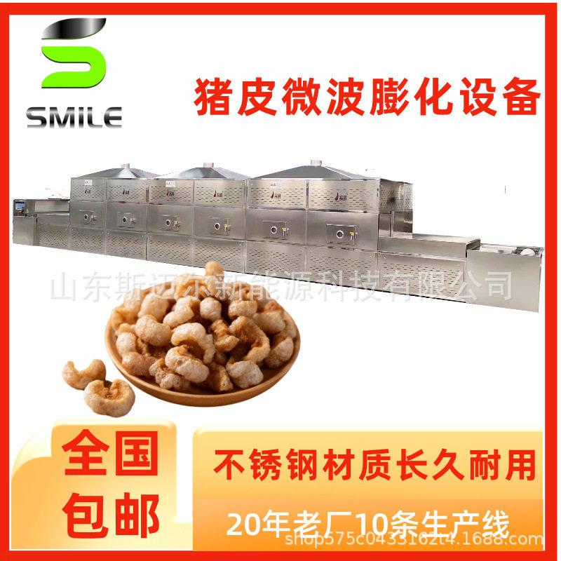 隧道式微波猪皮膨化设备猪皮微波烘干脱脂机肉制品解冻熟化设备