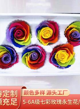 5-6A级国产七彩玫瑰永生花 七夕情人节创意生日礼品圣诞节礼物