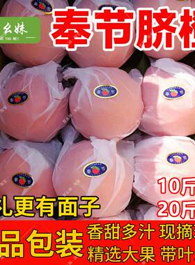 顺丰重庆奉节脐橙纽荷尔橙子10新鲜水果20大果当季礼盒带叶大果
