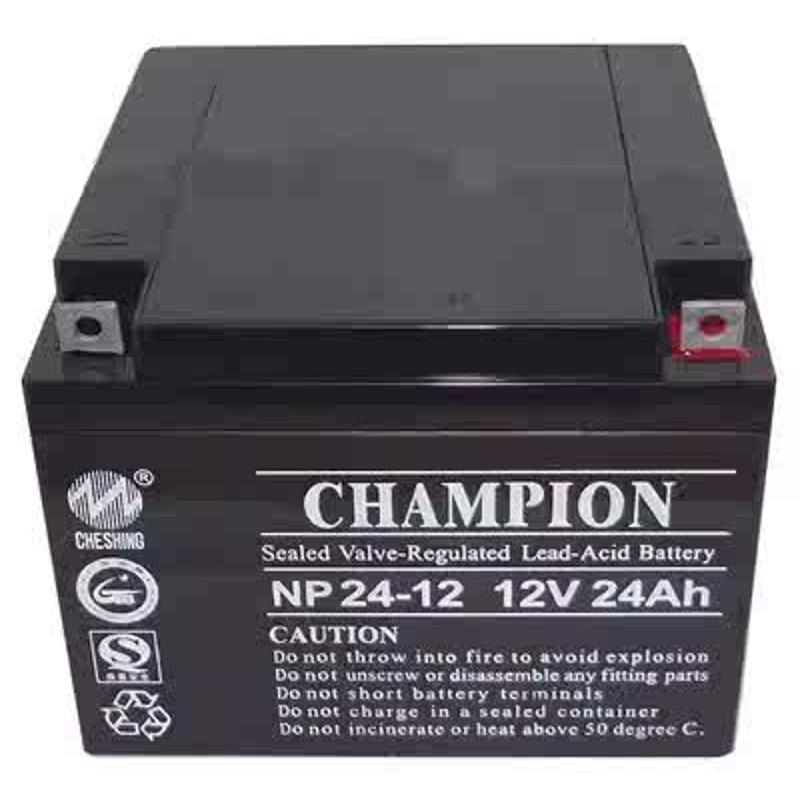 CHAMPION冠军蓄电池NP-12V7A9A17A24A38A40A65A100A120A150A200AH