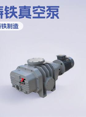 嘉兴VJP250系列水环真空泵铸铁不锈钢真空泵配套罗茨机组真空泵