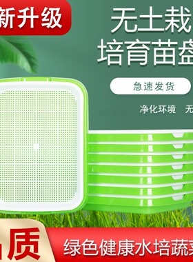 Cat Grass Seed Hydroponic Planting Kit, Soil-less Water Cult