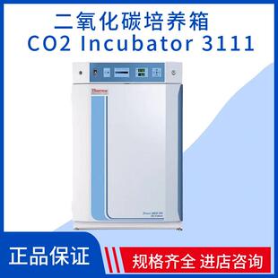 赛默飞世尔Thermo实验室仪器二氧化碳培养箱CO2 3111 Incubator