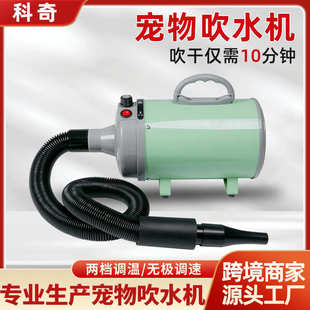 吹风机个吹风机美容&送可调宠物加热器喷嘴狗狗速度2000w带4高速