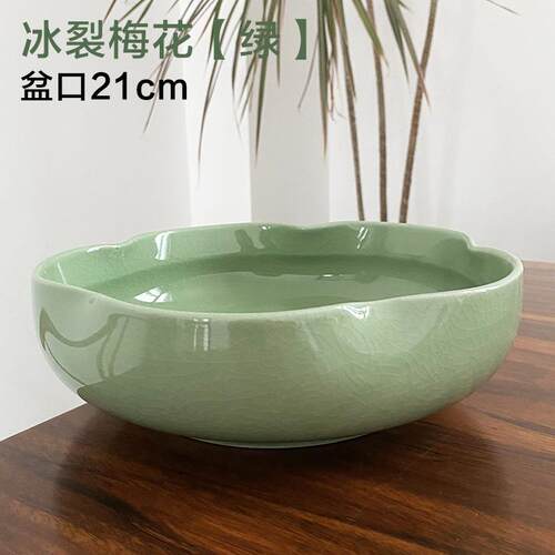 正品州水仙花盆高陶瓷冰裂无孔水养水钱培碗莲睡莲铜草端盆家漳居