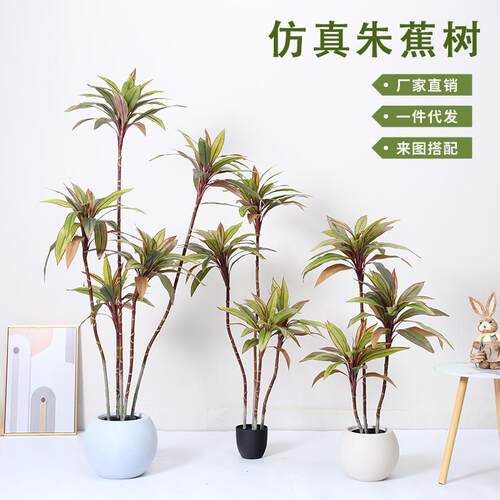 高级仿真绿植造景仿真朱蕉假树盆栽室内客厅落地装饰摆件仿生植物