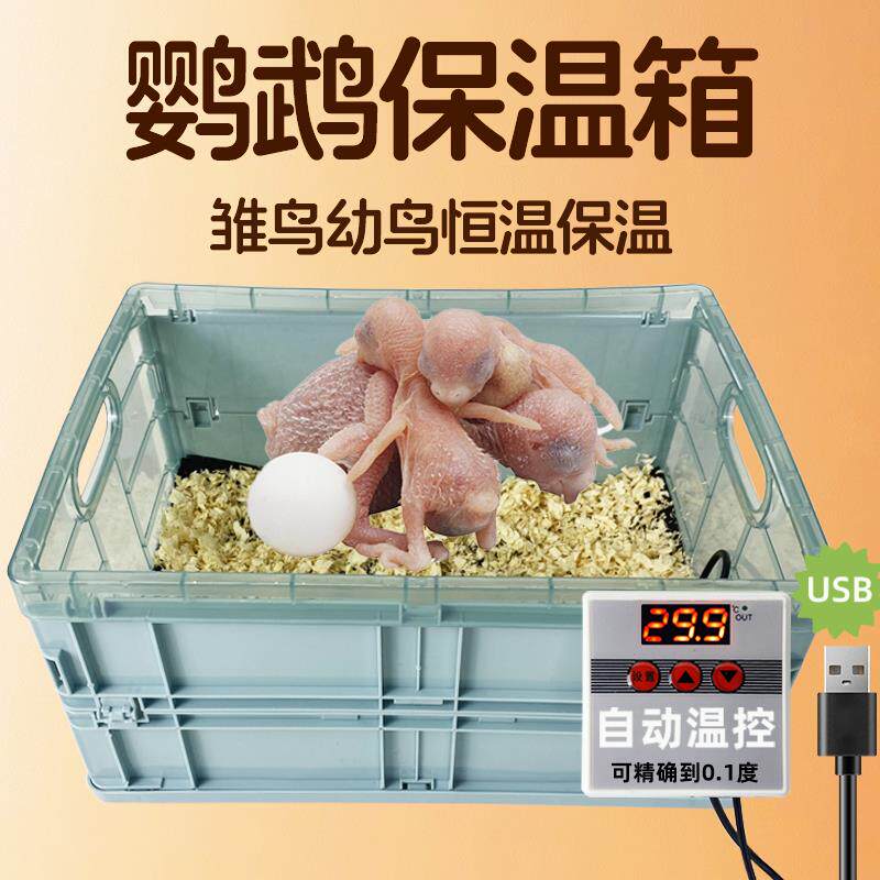 鹦鹉保温箱雏鸟恒温箱牡丹幼鸟小鸡手养孵化育雏专用加热垫饲养盒图片