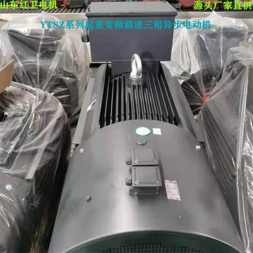 山东厂家直供YTSZ-315M1-4/160W起重变频调速三相异步电动机