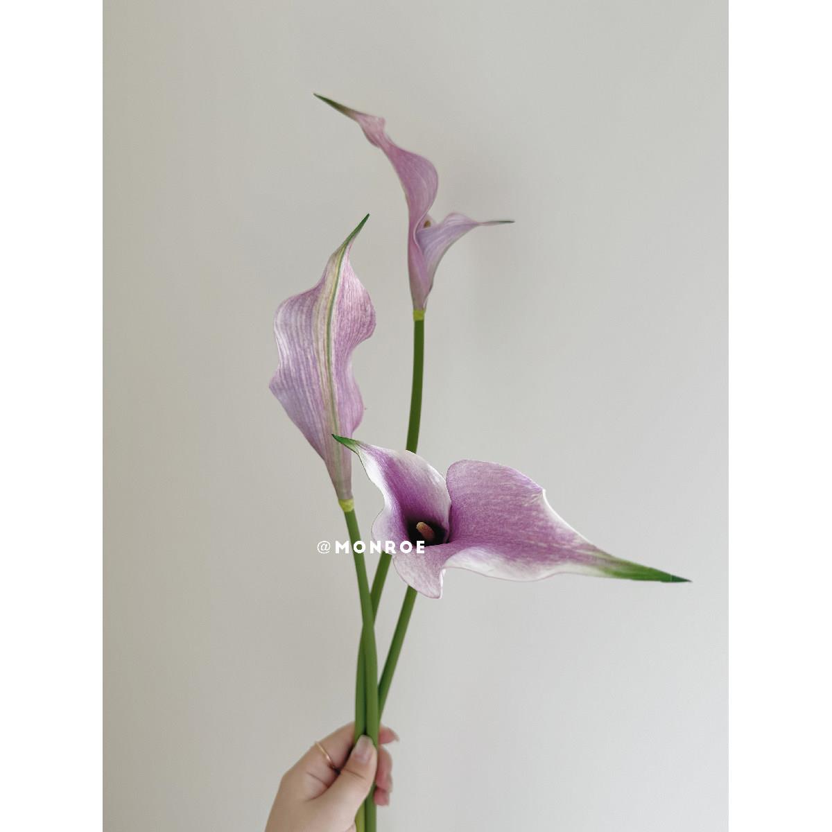 双瓣海芋·梦鹿彷真花 紫色白色手感材质马蹄莲海芋客厅桌面插花