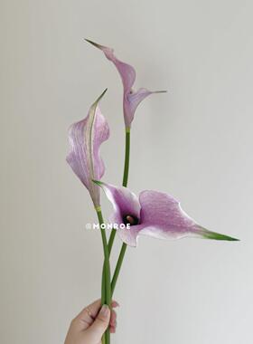 双瓣海芋·梦鹿彷真花 紫色白色手感材质马蹄莲海芋客厅桌面插花