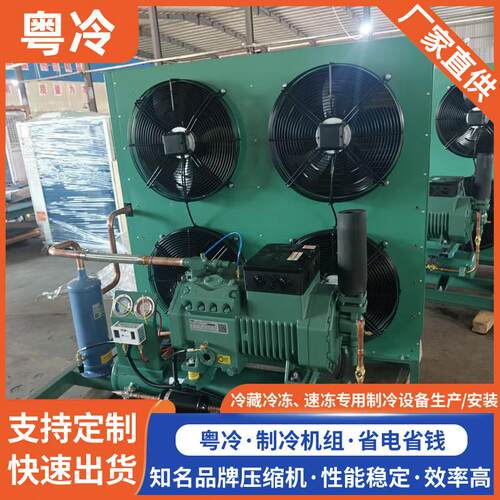冷库箱式制冷机组 低温全封闭式冷冻冷藏机组 制冷机组广东厂家