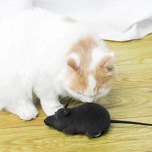 Rat Funny Cat Toy With Remote Control Multicolor Mouse Cute
