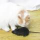 Toy With Mouse Funny Cute Multicolor Cat Control Rat Remote