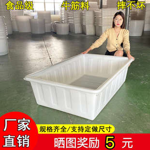 塑料水箱长方形加厚牛筋大号储水桶卖鱼浅盆养鱼周转箱水产养殖箱
