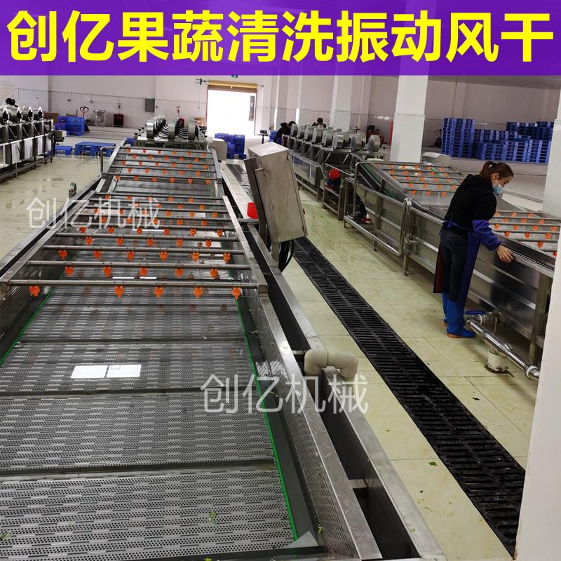 蔬菜清洗振动风干流水线定制特价青椒菜椒白萝卜喷淋清洗机设备