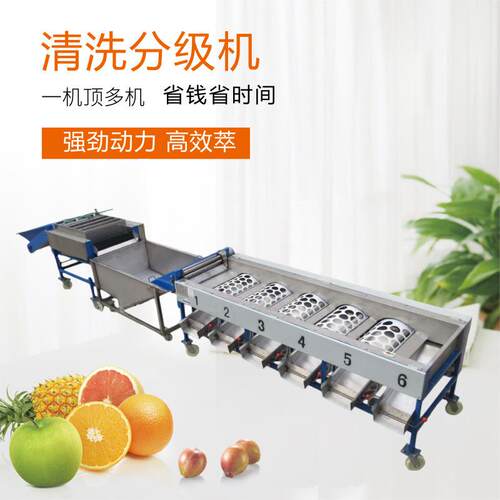 清洗浸泡分级机柑桔脐橙蕃茄等清洗浸泡滚筒分选机