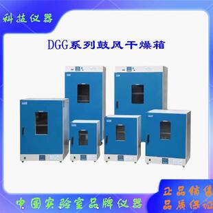 DGG-9246A上海DGG9426A/9626AD立式电热恒温鼓风干燥箱