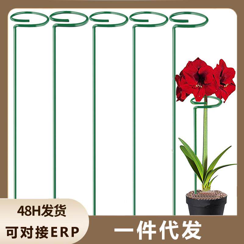 支撑杆朱顶红绣球蝴蝶兰园艺支架固定架爬藤花卉防倒伏铁艺花架