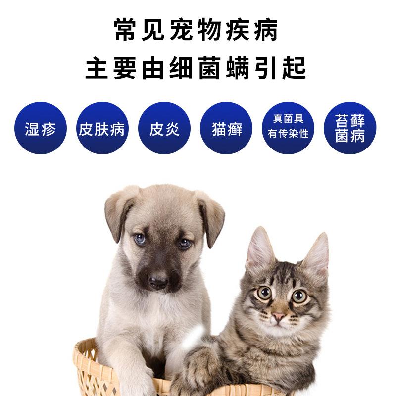新款宠物梳理梳猫咪狗狗除臭杀 菌梳紫外线猫藓检测灯宠物用品