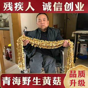 2025新货青海特产祁连山小黄蘑菇野生新鲜黄菇菌皇菇又名石渠白菇