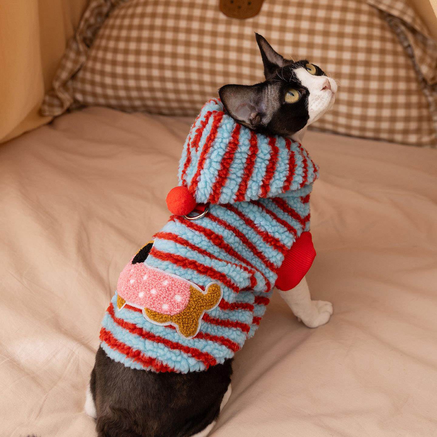 猫咪衣服可爱条纹腊肠犬牵引连帽绒衣蓝猫幼猫无毛猫狗狗宠物衣服