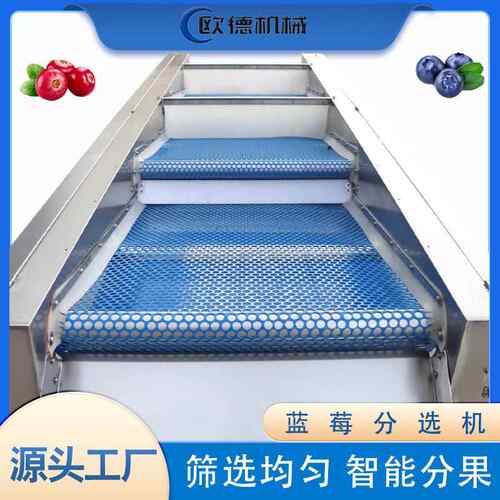 蓝莓蔓越莓过滤筛选分选设备 水果直径分级机 车厘子分级选果机