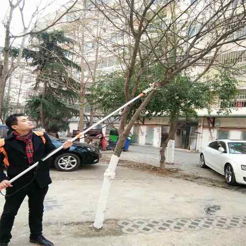 高空可伸高剪缩电动树枝修剪机枝609果树电剪动枝机图片果园