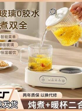 多功能养生壶办公室小型煮茶壶家用玻璃养生杯烧水壶双炉恒温壶