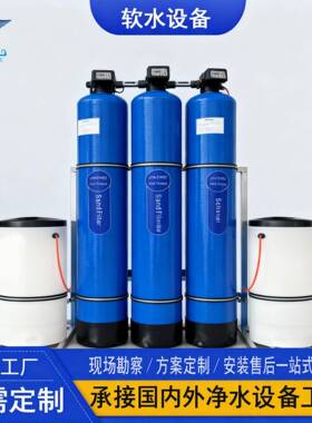 工业全自动锅炉软化水处理设备井水过滤除垢去泥沙除铁锰软水器