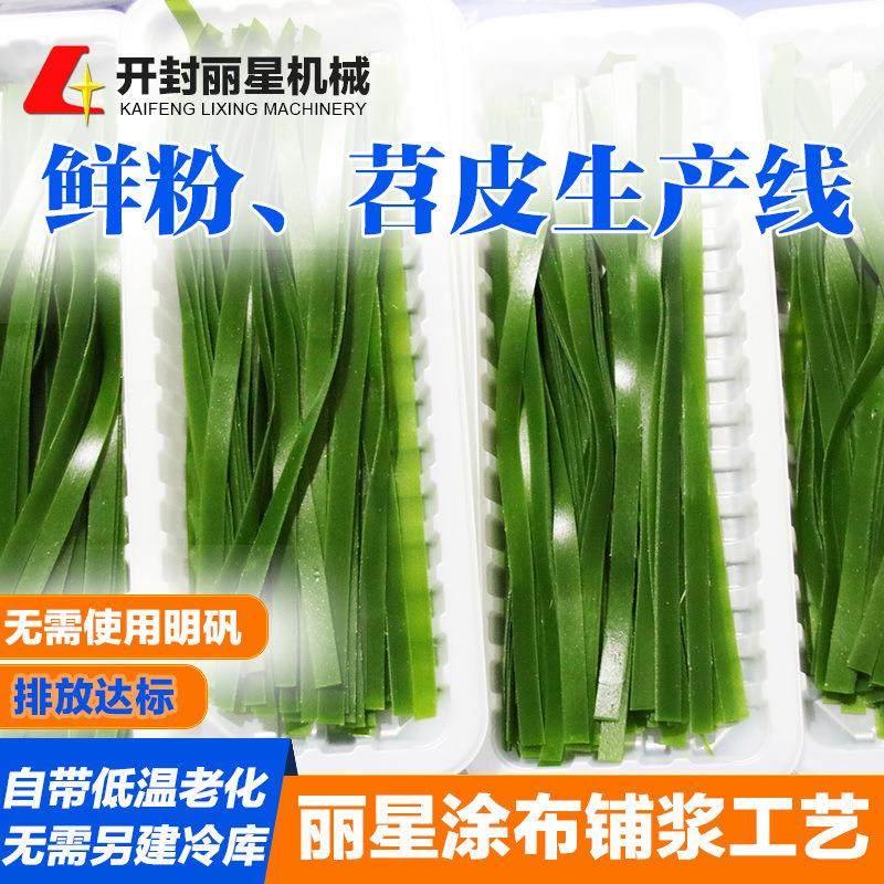 丽星苕皮加工设备 全自动鲜粉生产线 PLC智能控制 厂家直供商用