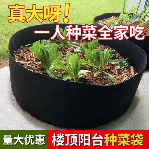 美植袋特大楼顶圆形无纺布种菜袋育苗盆加厚蔬果透气毛毡种菜盆