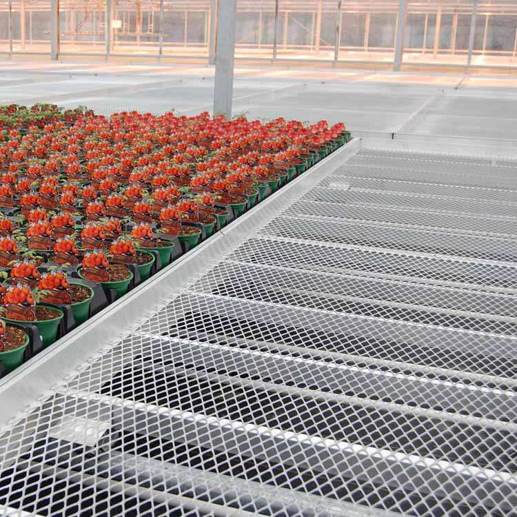 固定苗床热镀锌苗床植物苗床温室大棚双层多层养花育苗苗床