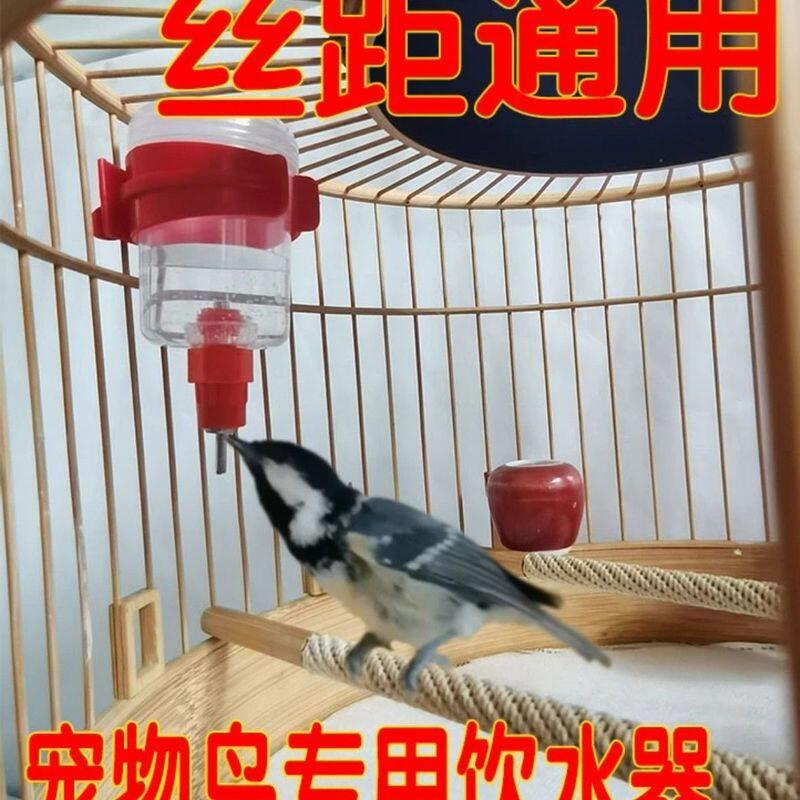 鸟用自动撞针饮水器山雀贝子玉鸟靛颏画眉黄雀绣眼鸟具鸟笼鸟水罐