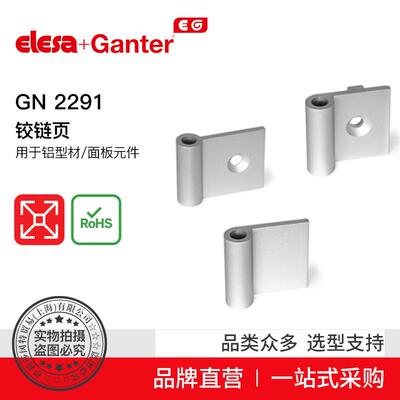 ElesaGanter伊莉莎冈特GN2291页用于铝型材/面板元件
