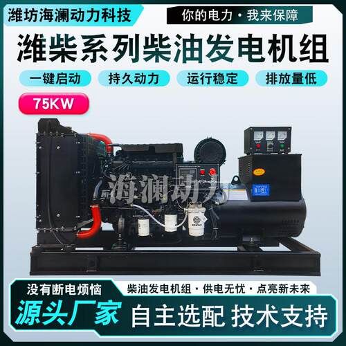 75kw潍柴柴油发电机组 低油耗75千瓦配ATS控制系统纯铜发电机组