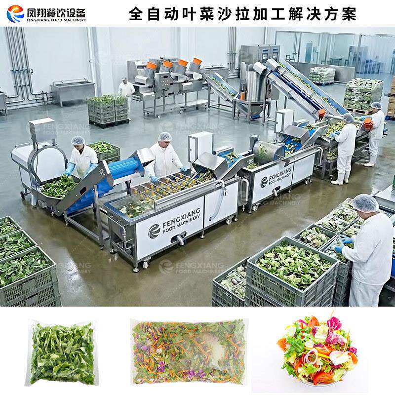 凤翔 沙拉蔬菜加工流水线生菜清洗生产线油麦菜切割清洗设备