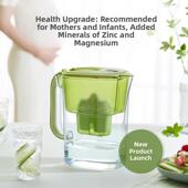 德国BWT净水壶家用4.2L净水器滤水器过滤水壶进口锌加镁滤芯套装