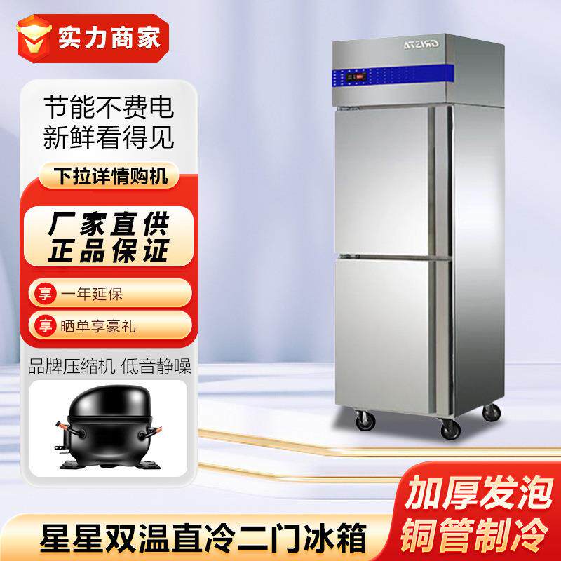 双款温直冷商立式二门冰箱酒店厨房用ABCE冰箱不锈钢双门冷柜