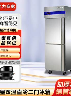 星星双温直冷立式二门冰箱酒店厨房商用ABCE款冰箱不锈钢双门冷柜